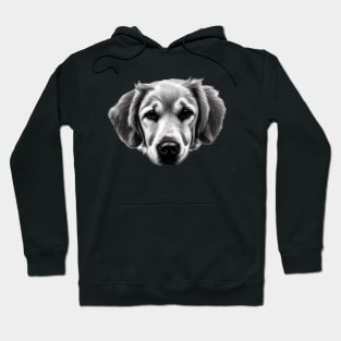 Golden Retriever Puppy Face Hoodie